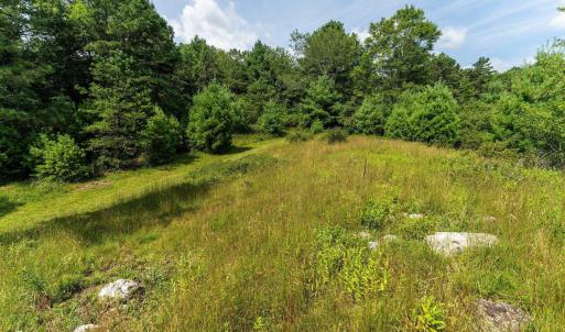 Photo #19 of MUDDY RUN RD, WILLIAMSVILLE, VA 40.8 acres