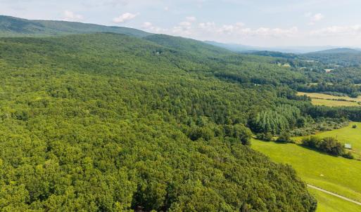 Photo #5 of MUDDY RUN RD, WILLIAMSVILLE, VA 40.8 acres