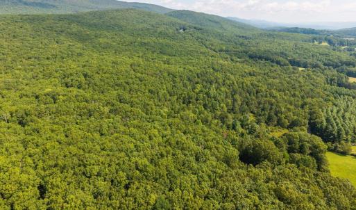 Photo #6 of MUDDY RUN RD, WILLIAMSVILLE, VA 40.8 acres