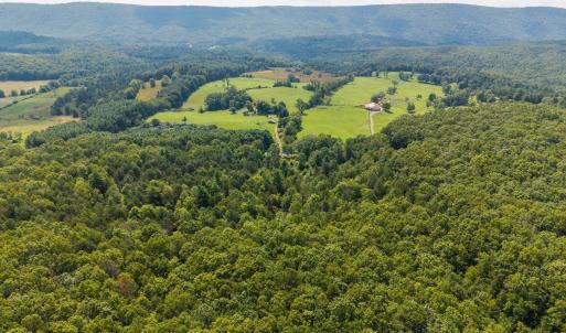 Photo #8 of MUDDY RUN RD, WILLIAMSVILLE, VA 40.8 acres