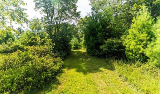 Photo #28 of MUDDY RUN RD, WILLIAMSVILLE, VA 40.8 acres