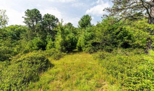 Photo #26 of MUDDY RUN RD, WILLIAMSVILLE, VA 40.8 acres