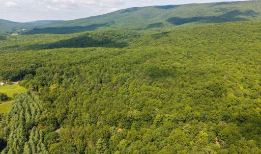 Photo #11 of MUDDY RUN RD, WILLIAMSVILLE, VA 40.8 acres