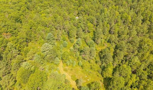 Photo #12 of MUDDY RUN RD, WILLIAMSVILLE, VA 40.8 acres