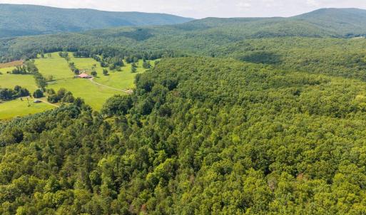 Photo #9 of MUDDY RUN RD, WILLIAMSVILLE, VA 40.8 acres