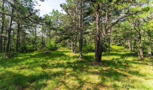 Photo #25 of MUDDY RUN RD, WILLIAMSVILLE, VA 40.8 acres