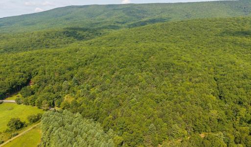 Photo #2 of MUDDY RUN RD, WILLIAMSVILLE, VA 40.8 acres