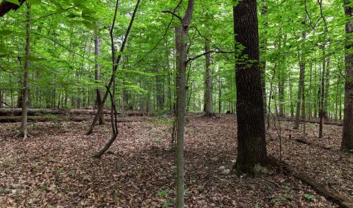 Photo #7 of Lot 68 PALMER PL, RUCKERSVILLE, VA 2.4 acres