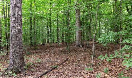 Photo #6 of Lot 68 PALMER PL, RUCKERSVILLE, VA 2.4 acres