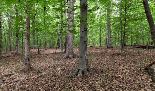 Photo #3 of Lot 68 PALMER PL, RUCKERSVILLE, VA 2.4 acres