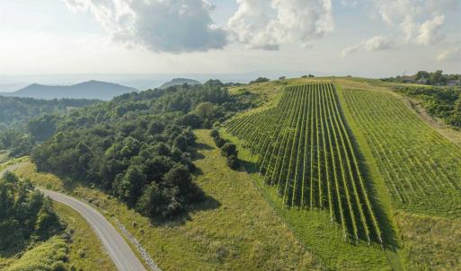 Photo #6 of Lot 3 TWELVE RIDGES WAY, VESUVIUS, VA 4.0 acres