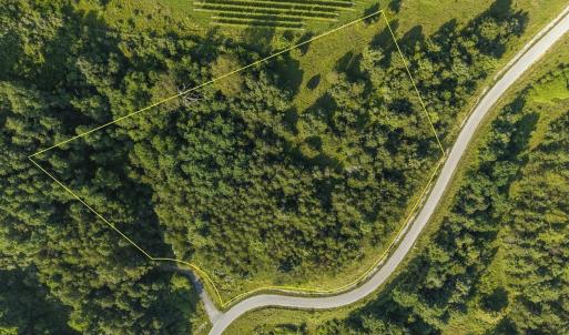 Photo #2 of Lot 3 TWELVE RIDGES WAY, VESUVIUS, VA 4.0 acres