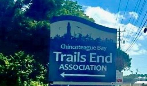 Photo #45 of Lot 175 BLACK OAK CT, HORNTOWN, VA 0.1 acres