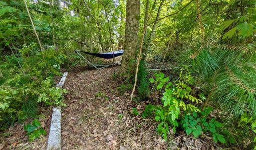 Photo #11 of Lot 175 BLACK OAK CT, HORNTOWN, VA 0.1 acres