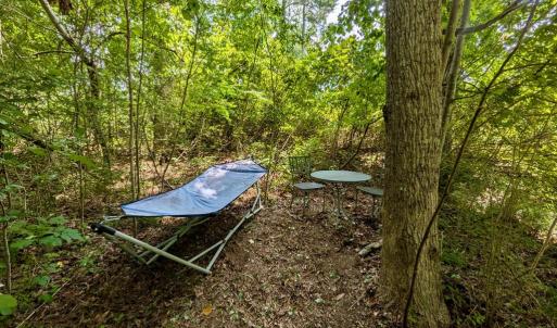 Photo #13 of Lot 175 BLACK OAK CT, HORNTOWN, VA 0.1 acres