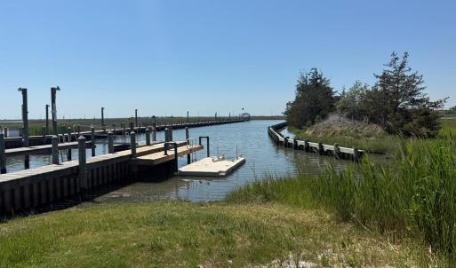 Photo #47 of Lot 175 BLACK OAK CT, HORNTOWN, VA 0.1 acres