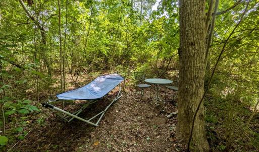 Photo #8 of Lot 175 BLACK OAK CT, HORNTOWN, VA 0.1 acres