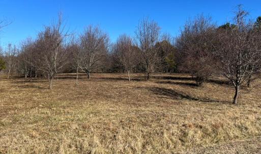 Photo #2 of Lot 50 BUTLER'S BLUFF DR, CAPE CHARLES, VA 2.0 acres