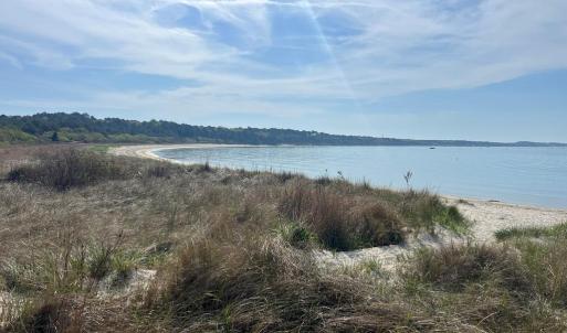 Photo #15 of Lot 50 BUTLER'S BLUFF DR, CAPE CHARLES, VA 2.0 acres