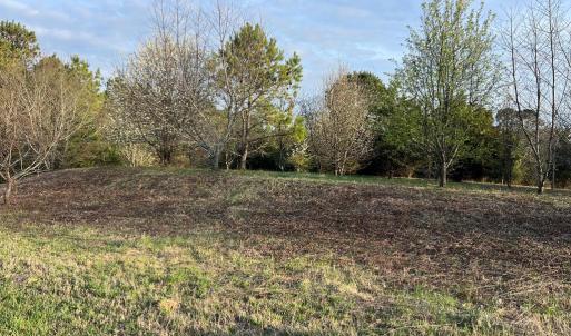 Photo #4 of Lot 50 BUTLER'S BLUFF DR, CAPE CHARLES, VA 2.0 acres