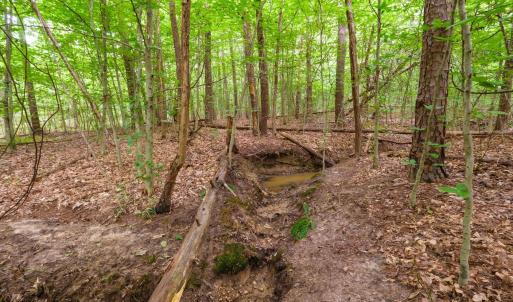 Photo #3 of Lot T8 LONDON CT, RUCKERSVILLE, VA 2.2 acres