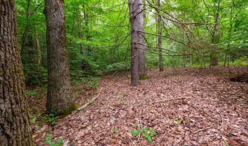 Photo #4 of Lot T8 LONDON CT, RUCKERSVILLE, VA 2.2 acres