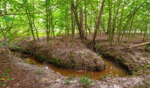 Photo #6 of Lot T8 LONDON CT, RUCKERSVILLE, VA 2.2 acres