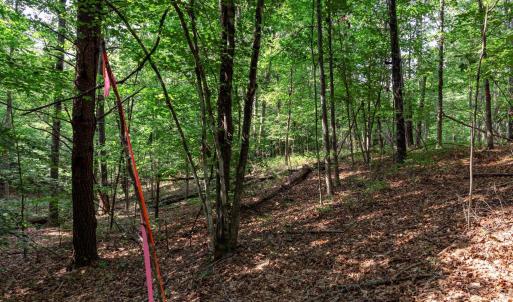 Photo #15 of 99 OAKMONT DR, GORDONSVILLE, VA 0.7 acres