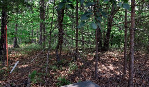Photo #12 of 99 OAKMONT DR, GORDONSVILLE, VA 0.7 acres