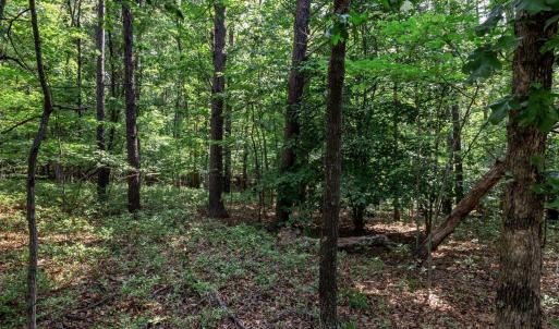 Photo #13 of 99 OAKMONT DR, GORDONSVILLE, VA 0.7 acres