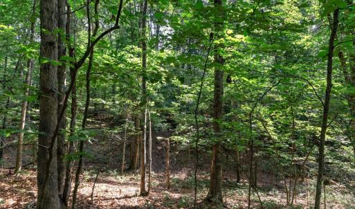 Photo #14 of 99 OAKMONT DR, GORDONSVILLE, VA 0.7 acres