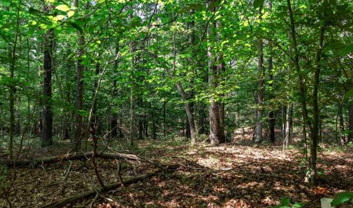 Photo #17 of 99 OAKMONT DR, GORDONSVILLE, VA 0.7 acres