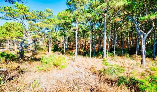 Photo #10 of Lot # 2 ELLIOTTS CREEK LN, CAPE CHARLES, VA 2.0 acres