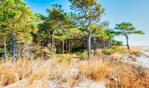 Photo #16 of Lot # 2 ELLIOTTS CREEK LN, CAPE CHARLES, VA 2.0 acres