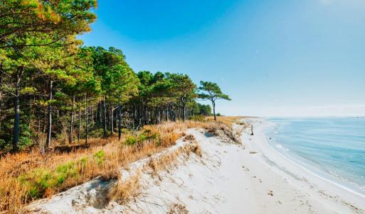 Photo #4 of Lot # 2 ELLIOTTS CREEK LN, CAPE CHARLES, VA 2.0 acres