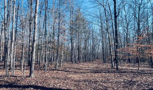 Photo #1 of TBD RUNNING DEER DR, KESWICK, VA 37.3 acres