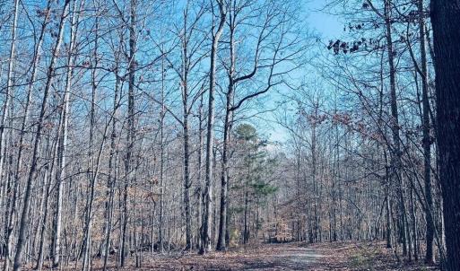 Photo #4 of TBD RUNNING DEER DR, KESWICK, VA 37.3 acres
