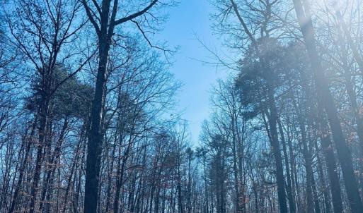 Photo #7 of TBD RUNNING DEER DR, KESWICK, VA 37.3 acres