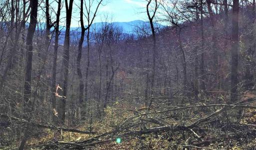 Photo #4 of 1 BLACKBERRY RIDGE RD, GREENWOOD, VA 2.8 acres