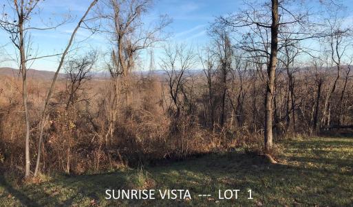 Photo #5 of 1 BLACKBERRY RIDGE RD, GREENWOOD, VA 2.8 acres