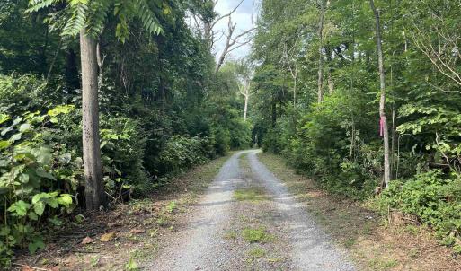 Photo #2 of Block A Lot 1 SWANNANOA LN, AFTON, VA 0.5 acres