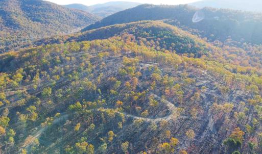 Photo #4 of CALF MOUNTAIN RD, WAYNESBORO, VA 263.0 acres