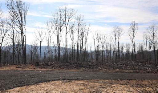Photo #9 of CALF MOUNTAIN RD, WAYNESBORO, VA 263.0 acres