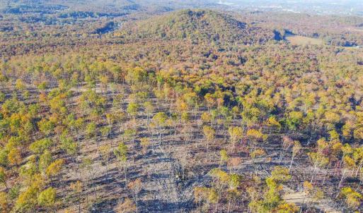 Photo #3 of CALF MOUNTAIN RD, WAYNESBORO, VA 263.0 acres