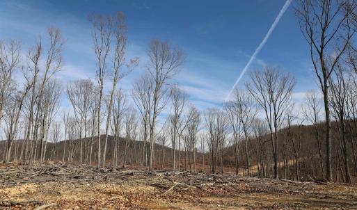 Photo #8 of CALF MOUNTAIN RD, WAYNESBORO, VA 263.0 acres
