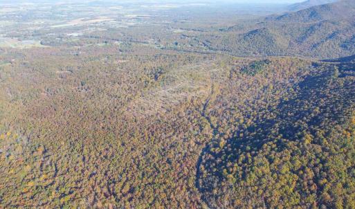 Photo #1 of CALF MOUNTAIN RD, WAYNESBORO, VA 263.0 acres