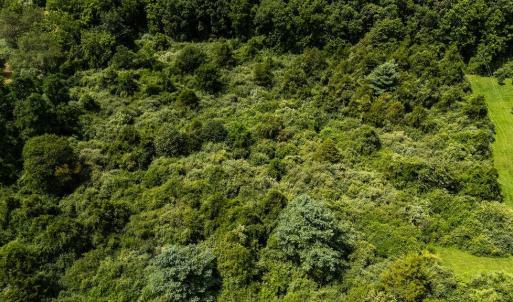 Photo #11 of TBD COWPASTURE RIVER RD S, WILLIAMSVILLE, VA 16.2 acres