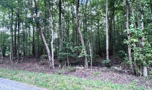 Photo #2 of TBD OLD SHORE RD, BLACKSTONE, VA 15.5 acres