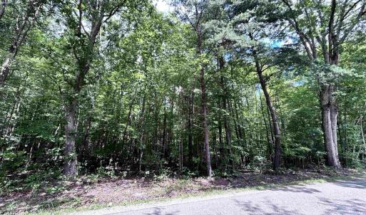 Photo #5 of TBD OLD SHORE RD, BLACKSTONE, VA 15.5 acres