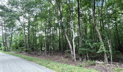Photo #1 of TBD OLD SHORE RD, BLACKSTONE, VA 15.5 acres